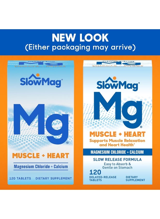 Slow-Mag سلوماج ماغ عضلات + قلب مكمل كلوريد المغنيسيوم مع الكالسيوم، 120 حبة - Image 3